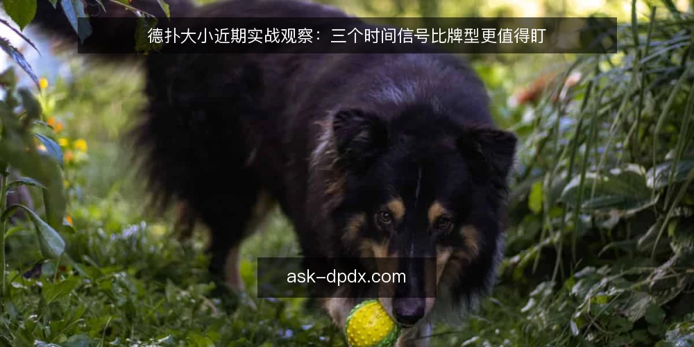 德扑大小近期实战观察：三个时间信号比牌型更值得盯 — 基准：先校准当前牌桌节奏 配图