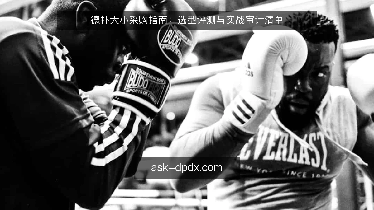 德扑大小采购指南：选型评测与实战审计清单